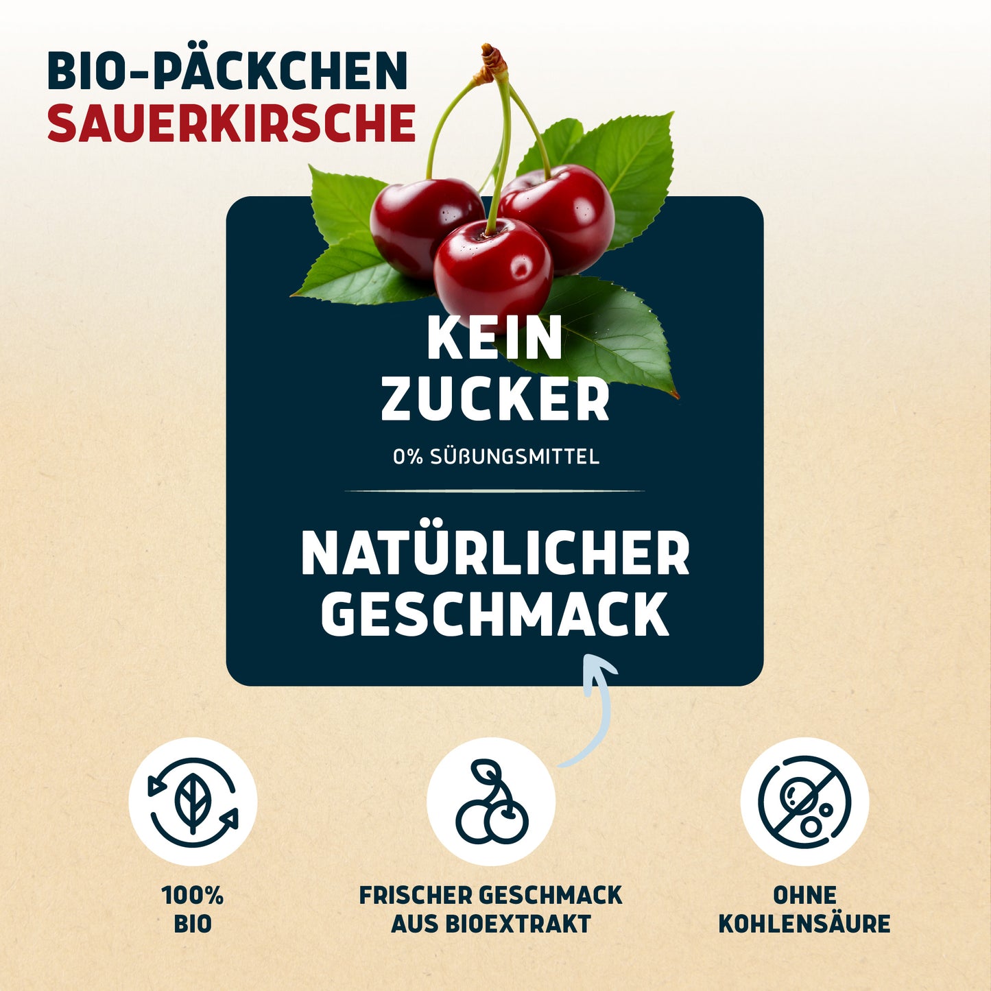 Bio-Päckchen Sauerkirsche 12 x 0,5l