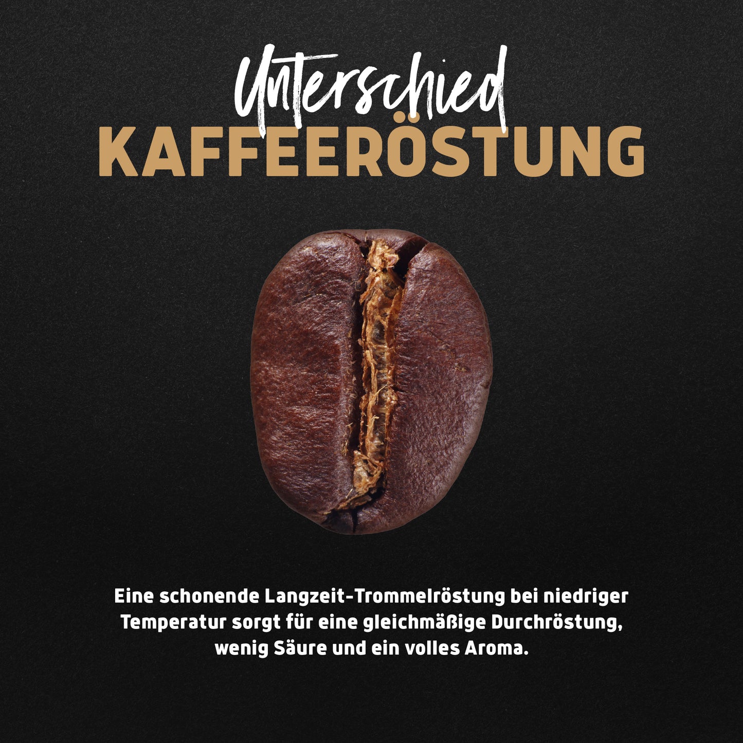 Bio Fair Trade Kaffee