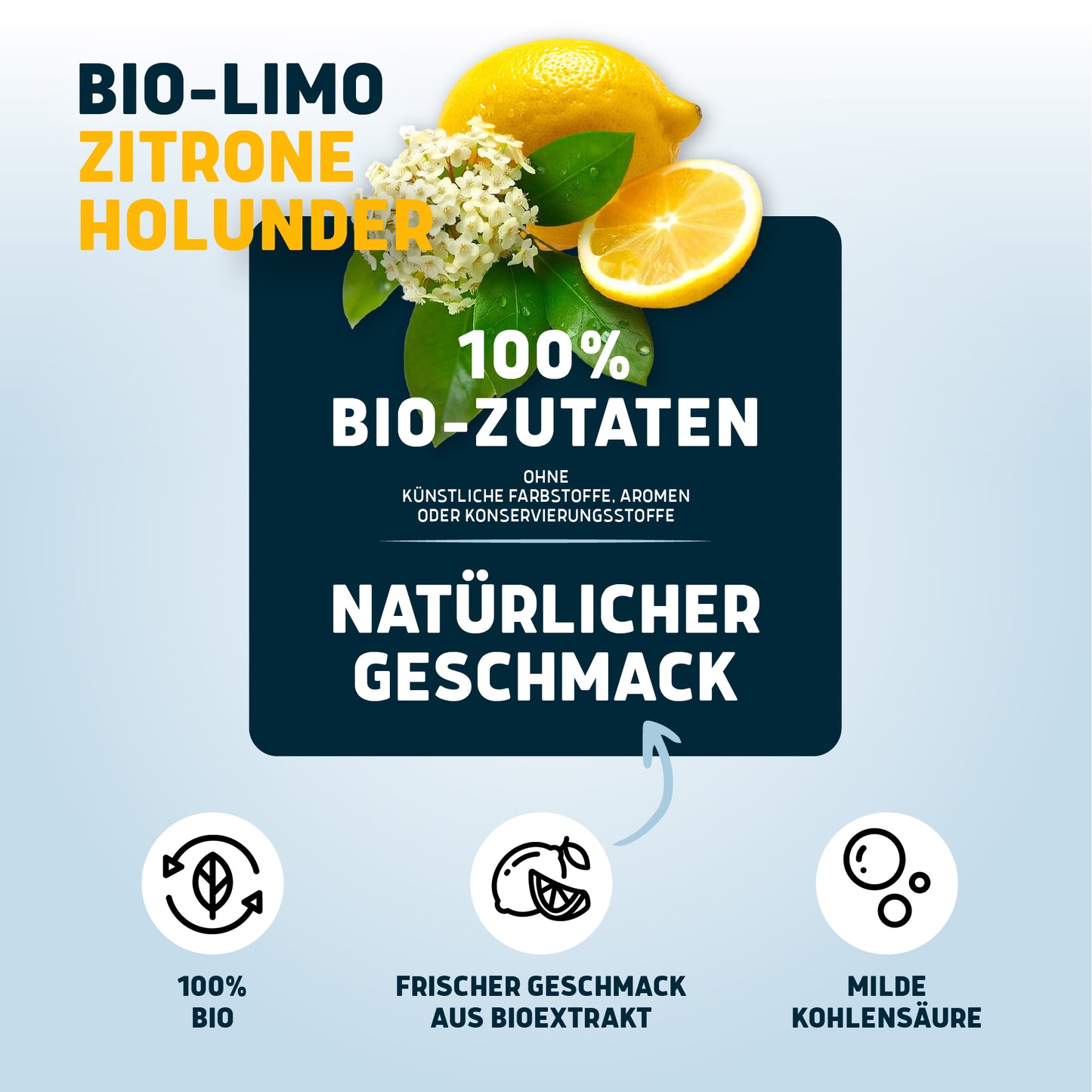 Bio-Limo Zitrone-Holunder 6 x 0,75l